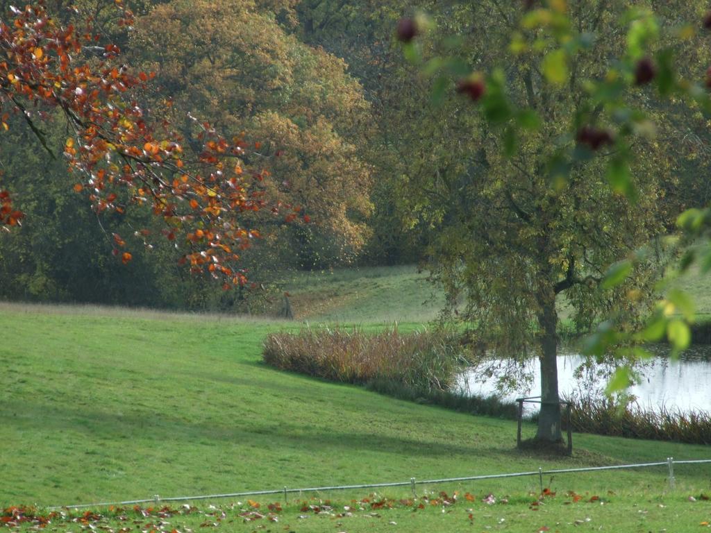 Woodlands Bed & Breakfast Barnt Green 외부 사진